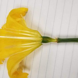 Meet your Posher, Epic